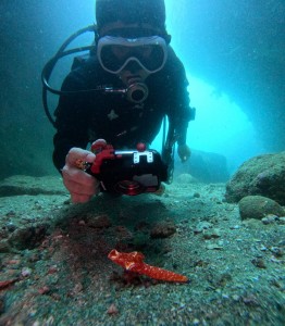 DCIM100GOPROGOPR5264.JPG