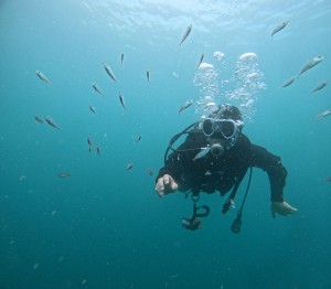 DCIM100GOPROGOPR5277.JPG
