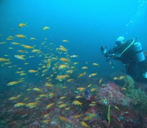 DCIM100GOPROGOPR5303.JPG