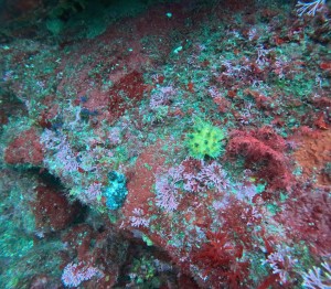 DCIM100GOPROGOPR5311.JPG