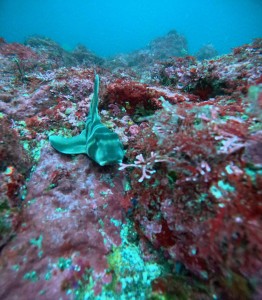 DCIM100GOPROGOPR5313.JPG