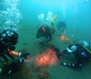DCIM100GOPROGOPR5331.JPG