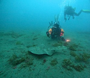 DCIM100GOPROGOPR5336.JPG