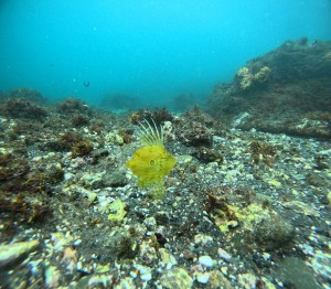 DCIM100GOPROGOPR5362.JPG