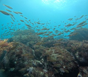 DCIM100GOPROGOPR5374.JPG