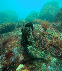 DCIM100GOPROGOPR5378.JPG