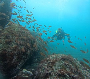 DCIM100GOPROGOPR5383.JPG