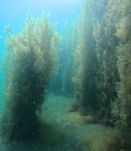 DCIM100GOPROGOPR5391.JPG
