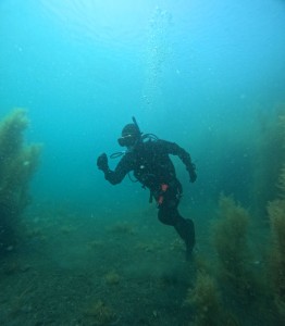 DCIM100GOPROGOPR5393.JPG