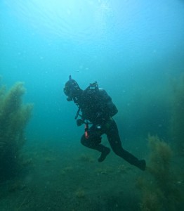 DCIM100GOPROGOPR5394.JPG