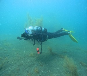 DCIM100GOPROGOPR5396.JPG