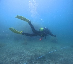 DCIM100GOPROGOPR5406.JPG