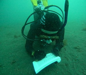 DCIM100GOPROGOPR5419.JPG
