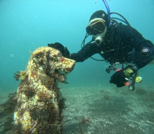 DCIM100GOPROGOPR5423.JPG