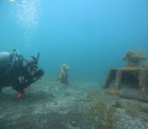 DCIM100GOPROGOPR5428.JPG