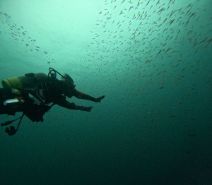 DCIM100GOPROGOPR5658.JPG