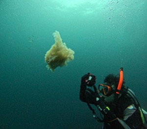 DCIM100GOPROGOPR5670.JPG