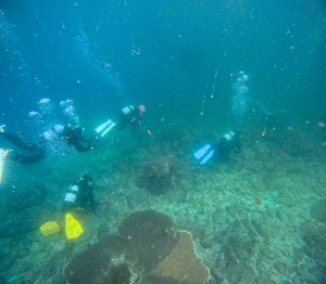 GOPR8073