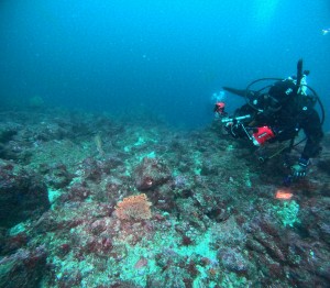 DCIM100GOPROGOPR9065.JPG