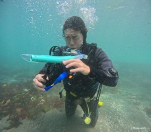 DCIM100GOPROGOPR9145.JPG