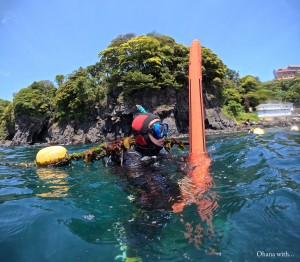 DCIM100GOPROGOPR9153.JPG