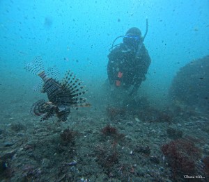 DCIM100GOPROGOPR9157.JPG