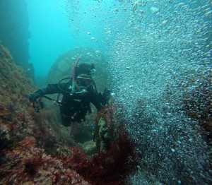 DCIM100GOPROGOPR9167.JPG