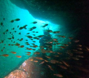 DCIM100GOPROGOPR9179.JPG
