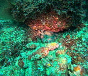 DCIM100GOPROGOPR9231.JPG
