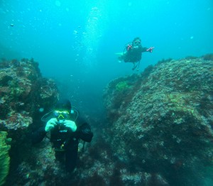 DCIM100GOPROGOPR9250.JPG