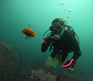 DCIM100GOPROGOPR9253.JPG