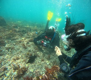 DCIM100GOPROGOPR9281.JPG
