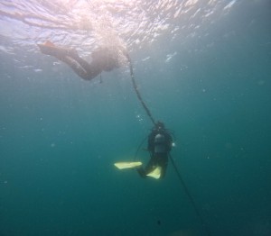 DCIM100GOPROGOPR9295.JPG