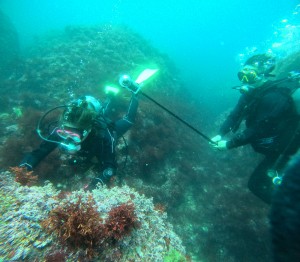 DCIM100GOPROGOPR9314.JPG