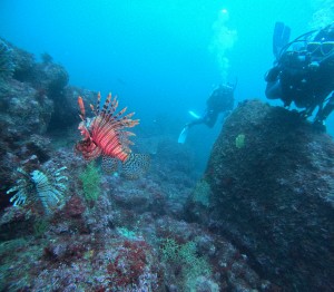 DCIM100GOPROGOPR9381.JPG