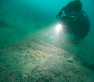 DCIM100GOPROGOPR9477.JPG