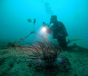DCIM100GOPROGOPR9483.JPG