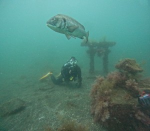 DCIM100GOPROGOPR9498.JPG