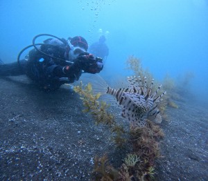 DCIM100GOPROGOPR9510.JPG