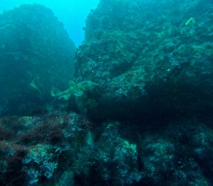 GOPR9586