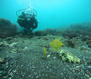 DCIM100GOPROGOPR9626.JPG