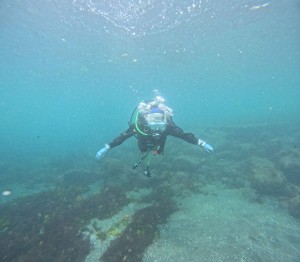 DCIM100GOPROGOPR9633.JPG
