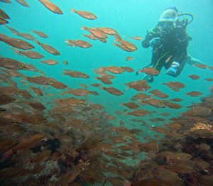 DCIM100GOPROGOPR9635.JPG