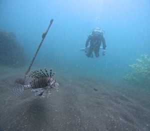 DCIM100GOPROGOPR9638.JPG