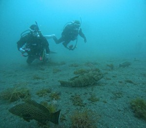 DCIM100GOPROGOPR9680.JPG