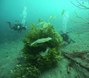 DCIM100GOPROGOPR9731.JPG