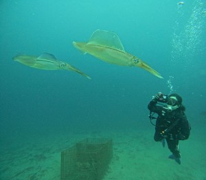 DCIM100GOPROGOPR9744.JPG