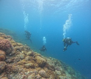 DCIM100GOPROGOPR9758.JPG