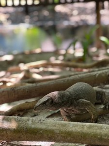 LINE_ALBUM_20250102_250512_8