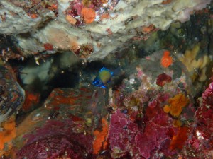 P5010026